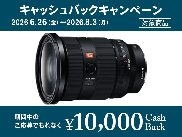 SEL2470GM2 購入 | デジタル一眼カメラ α：アルファ | ソニー