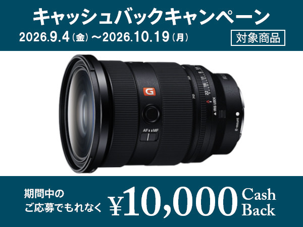 未使用級 SONY SEL2470GM2 保証付 付属品完備 プロ検品済 322 SEL2470GM2 購入 | デジタル一眼カメラ α：アルファ | ソニー