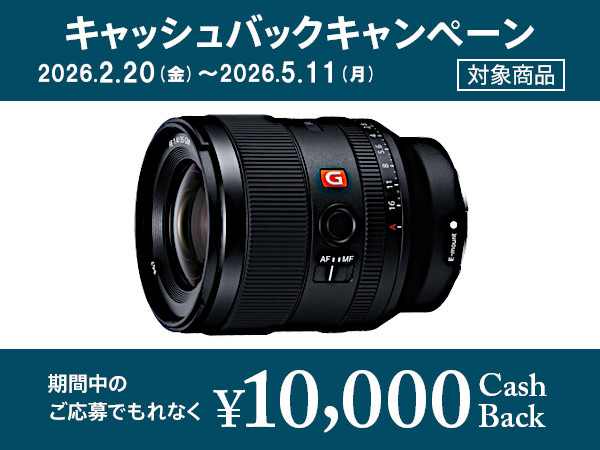 SEL35F14GM 購入 | デジタル一眼カメラ α：アルファ | ソニー