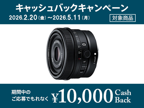 SEL40F25G 購入 | デジタル一眼カメラ α：アルファ | ソニー