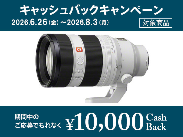 ★一眼レフ★SONY（ソニー）レンズ一式★αアルファ★お得 SEL50150GM 購入 | デジタル一眼カメラ α：アルファ | ソニー