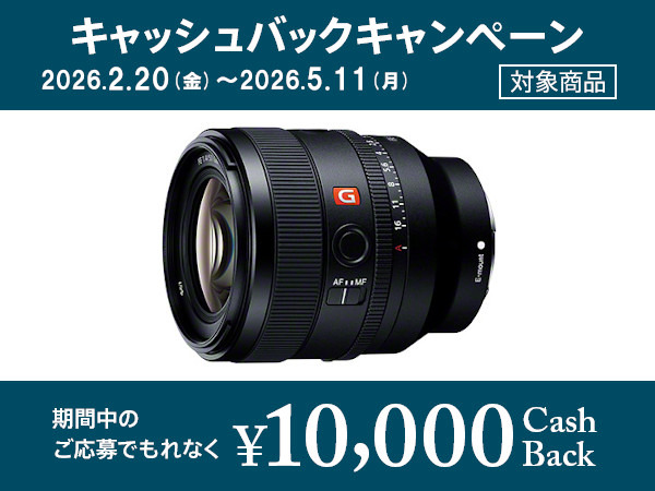 SEL50F14GM 購入 | デジタル一眼カメラ α：アルファ | ソニー