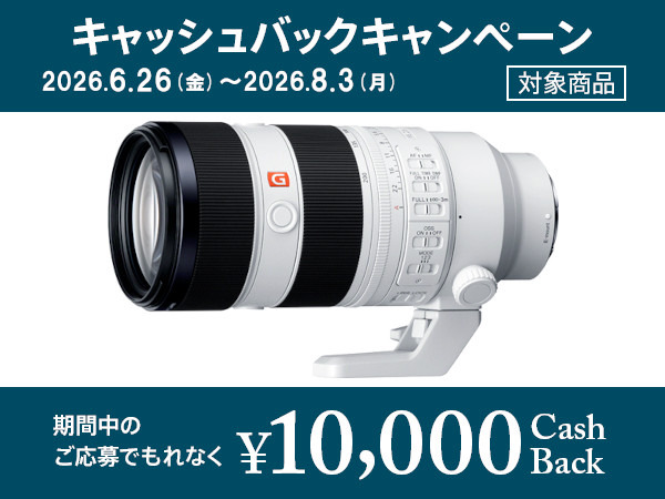 SEL70200GM2 購入 | デジタル一眼カメラ α：アルファ | ソニー
