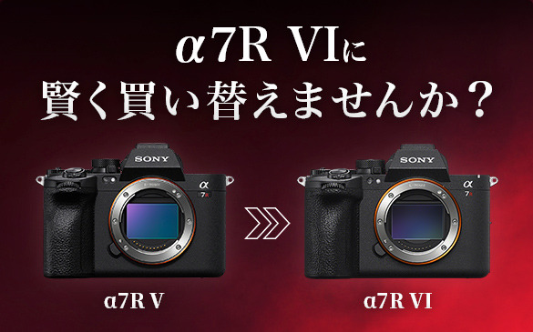 α7R VI 主な仕様 | デジタル一眼カメラα（アルファ） | ソニー
