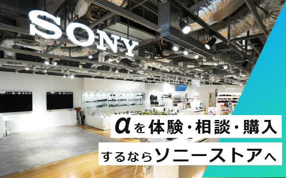【SONYストア購入美品】SONY FE 35mm F1.8 +フィルター Sony FE 35mm f/1.8 Lens with UV Filter Kit B&H Photo Video