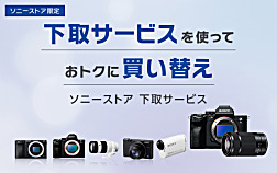 SEL2470Z 購入 | デジタル一眼カメラ α：アルファ | ソニー