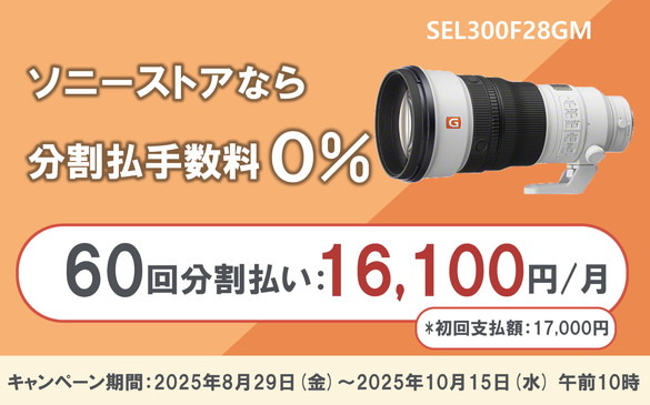 sony fe300gm f2.4単焦点レンズとケース　付属品全てあります sony fe300gm f2.4単焦点レンズとケース 付属品全てあります sony