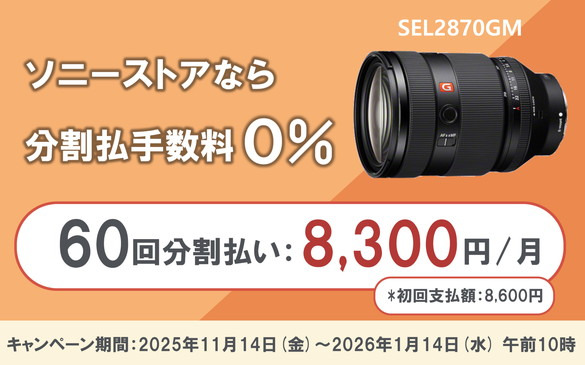 FE 28-70mm F2 GM | デジタル一眼カメラα（アルファ） | ソニー