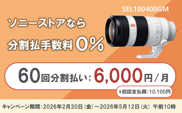 FE 100-400mm F4.5-5.6 GM OSS | デジタル一眼カメラα（アルファ