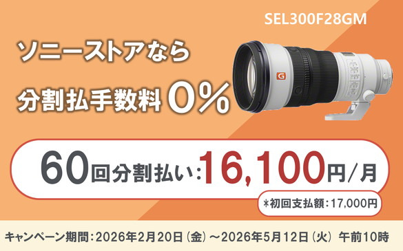 FE 300mm F2.8 GM OSS | デジタル一眼カメラα（アルファ） | ソニー