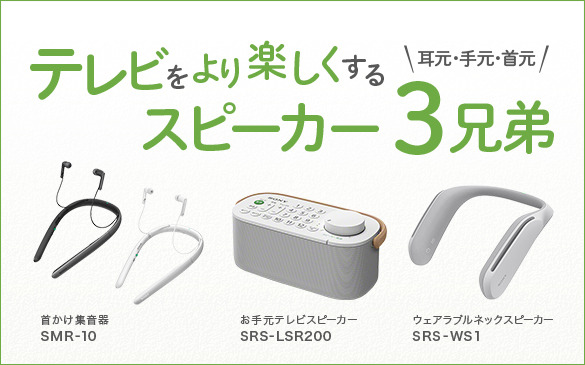 ソニーSONY お手元テレビスピーカー SRS-LSR200