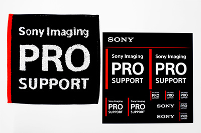 �L�O�i�̃~�j�^�I�����X�e�b�J�[�摜