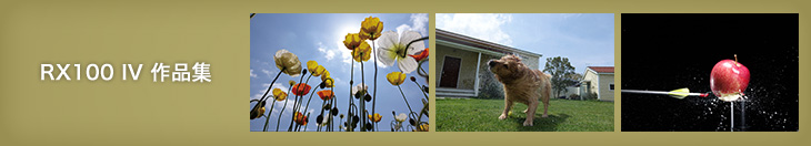 RX100 IV ��i�W