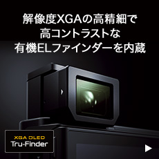 �𑜓xXGA�̍����ׂ� ���R���g���X�g�� �L�@EL�t�@�C���_�[�����