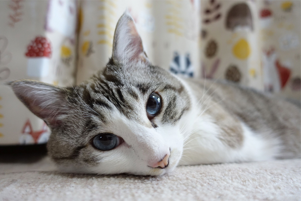 ���������u�Ԃ��������Ƃ��c