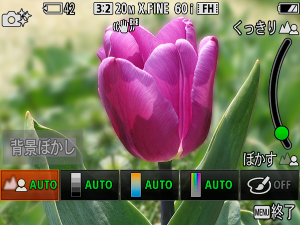 �L���C�ɂڂ�����