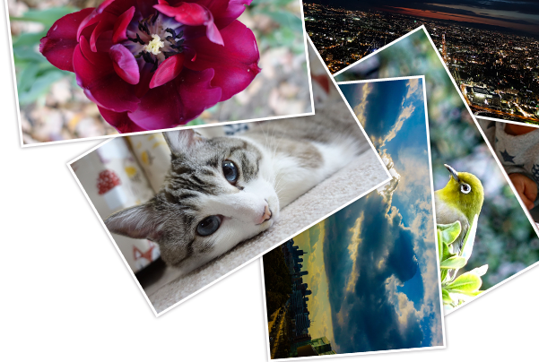 �ʐ^�Ŗ�����L���ɂ��܂���