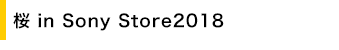 �� in Sony Store2018