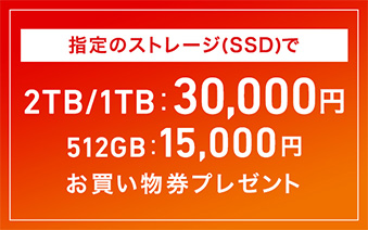 w̃Xg[W(SSD)2TB/1TB:30,000~ 512GB:15,000~ v[g