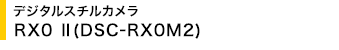 fW^X`J RX0 II(DSC-RX0M2)