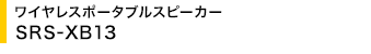 ���C�����X�|�[�^�u���X�s�[�J�[ SRS-XB13