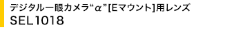 �f�W�^�����J�����g���h[E�}�E���g]�p�����Y SEL1018