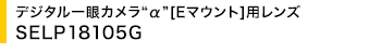 �f�W�^�����J�����g���h[E�}�E���g]�p�����Y SELP18105G
