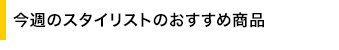 ���T�̃X�^�C���X�g�̂������ߏ��i