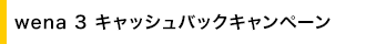 wena 3�@�L���b�V���o�b�N�L�����y�[��