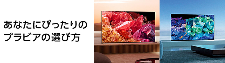 ���Ȃ��ɂ҂�����̃u���r�A�̑I�ѕ�