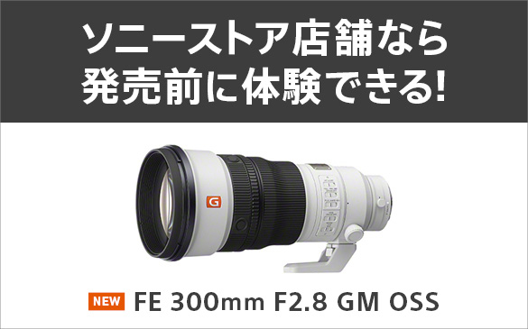 ソニーストアのおすすめ | ソニーストアについて | ソニー