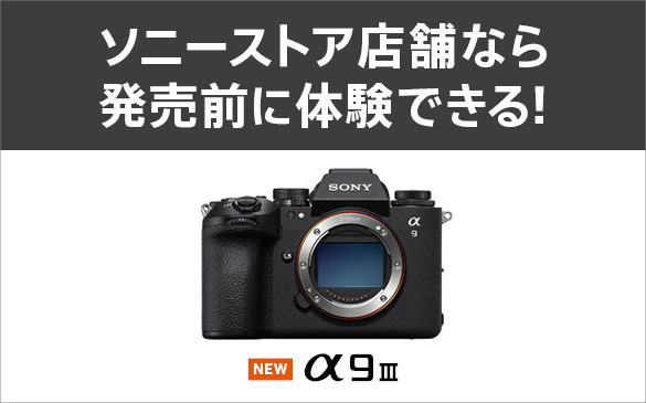 �\�j�[�X�g�A�X�܂Ȃ甭���O�ɑ̌��ł���I