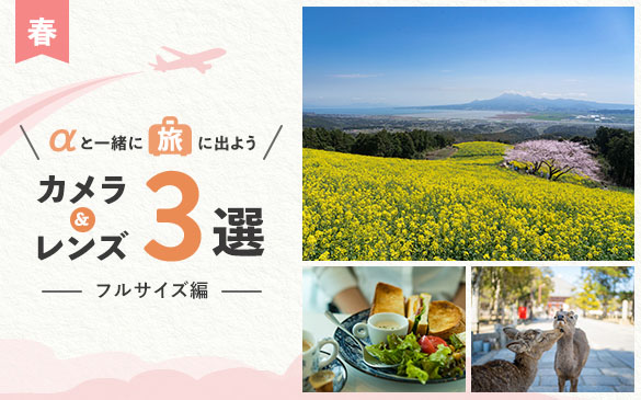 �t���T�C�Y��