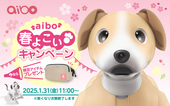 aibo �t�悱�� �L�����y�[�� ���Ȃ����A�C�e���v���[���g