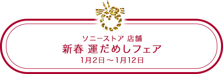 �\�j�[�X�g�A �X�� �V�t �^���߂��t�F�A 1��2���`1��12��