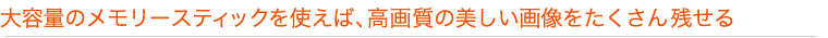 大容量のメモリースティックを使えば、高画質の美しい画像をたくさん残せる