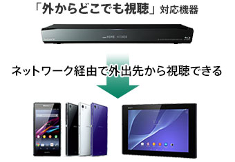 �l�b�g���[�N�o�R�ŊO�o�悩�王���ł���