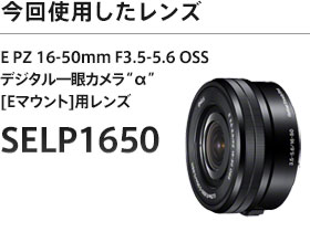 今回使用したレンズ E PZ 16-50mm F3.5-5.6 OSS デジタル一眼カメラ“α” [Eマウント]用レンズレンズ SELP1650