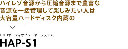 �n�C���]�������爳�k�����܂ŖL�x�ȉ������ꊇ�Ǘ����Ċy���݂����l�͑�e�ʃn�[�h�f�B�X�N������ HDD�I�[�f�B�I�v���[���[�V�X�e�� HAP-S1