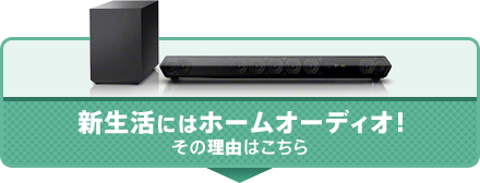 �V�����ɂ̓z�[���I�[�f�B�I�I���̗��R�͂�����