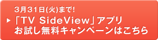 3��31��(��)�܂ŁI�uTV SideView�v�A�v�������������L�����y�[���͂�����