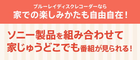 �u���[���C�f�B�X�N���R�[�_�[�Ȃ�Ƃł̊y���݂��������R���݁I �\�j�[���i��g�ݍ��킹�ĉƂ��イ�ǂ��ł��ԑg��������I