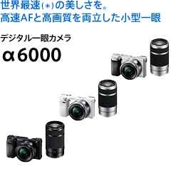 ���E�ő��i���j�̔��������B����AF�ƍ��掿�𗼗��������^��� �f�W�^�����J���� ��6000