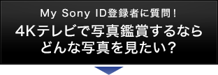 My Sony ID登録者に質問！4Kテレビで写真鑑賞するなら どんな写真を見たい？