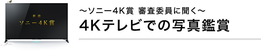 〜ソニー4K賞 審査委員に聞く〜4Kテレビでの写真鑑賞