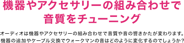 �@���A�N�Z�T���[�̑g�ݍ��킹�ŉ������`���[�j���O