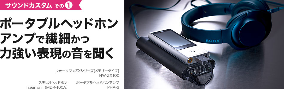 �|�[�^�u���w�b�h�z���A���v�ő@�ׂ��͋����\���̉��𕷂�