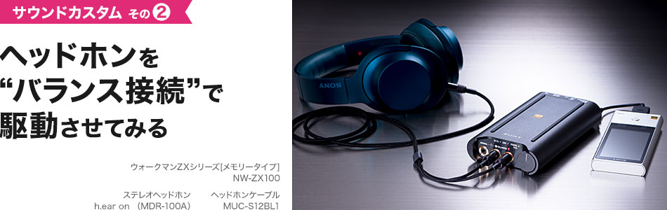 �w�b�h�z�����g�o�����X�ڑ��h�ŋ쓮�����Ă݂�