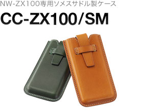 CC-ZX100/SM