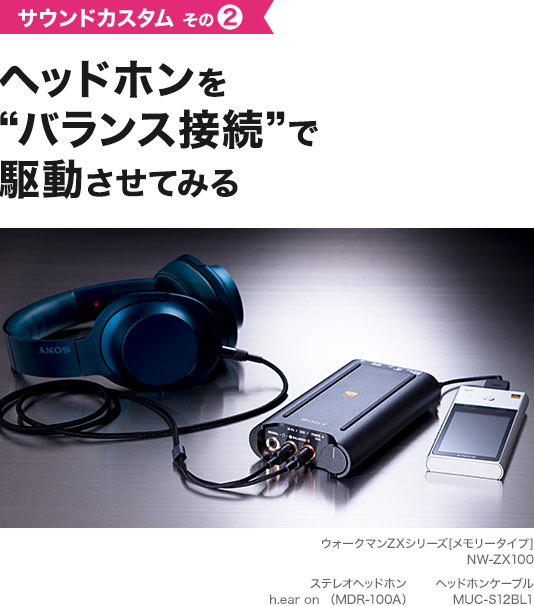 �w�b�h�z�����g�o�����X�ڑ��h�ŋ쓮�����Ă݂�